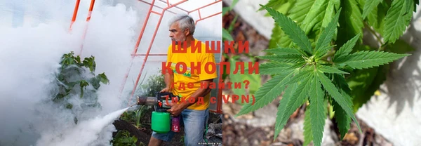 спайс Аркадак