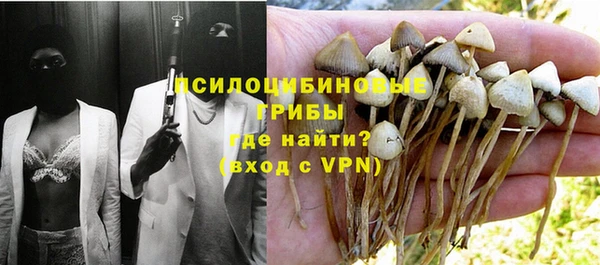 молекула духа Ростов