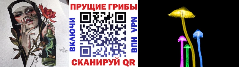 Галлюциногенные грибы Psilocybe  где продают   Шелехов 